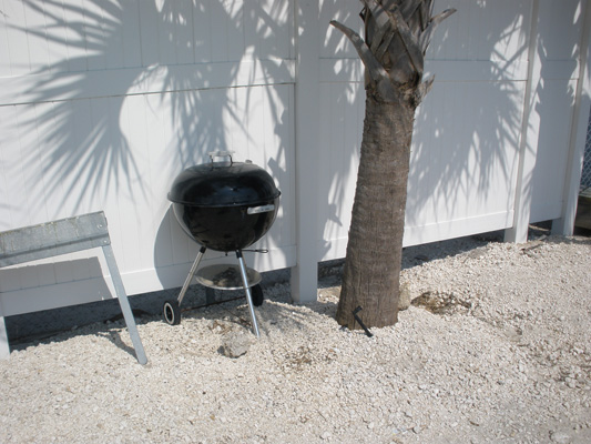 BBQ Grill